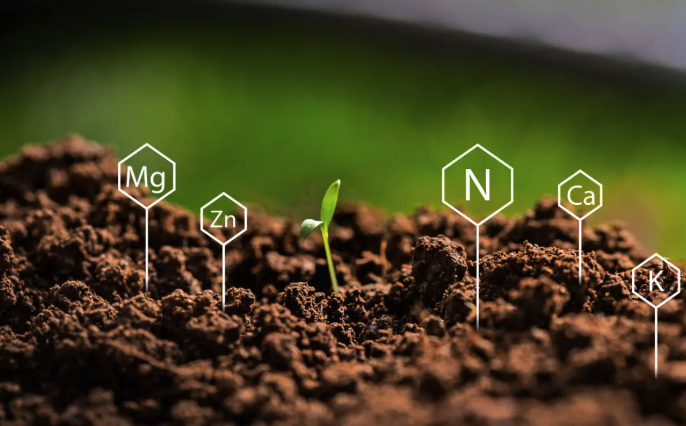 Section 180 soil fertility deduction — BirdDog helps landowners claim $750–$2,000 per acre in IRS tax savings