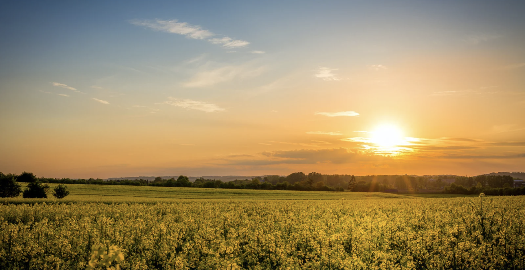IRS Section 180 residual fertility estimate tool — BirdDog soil value calculator for qualifying landowners