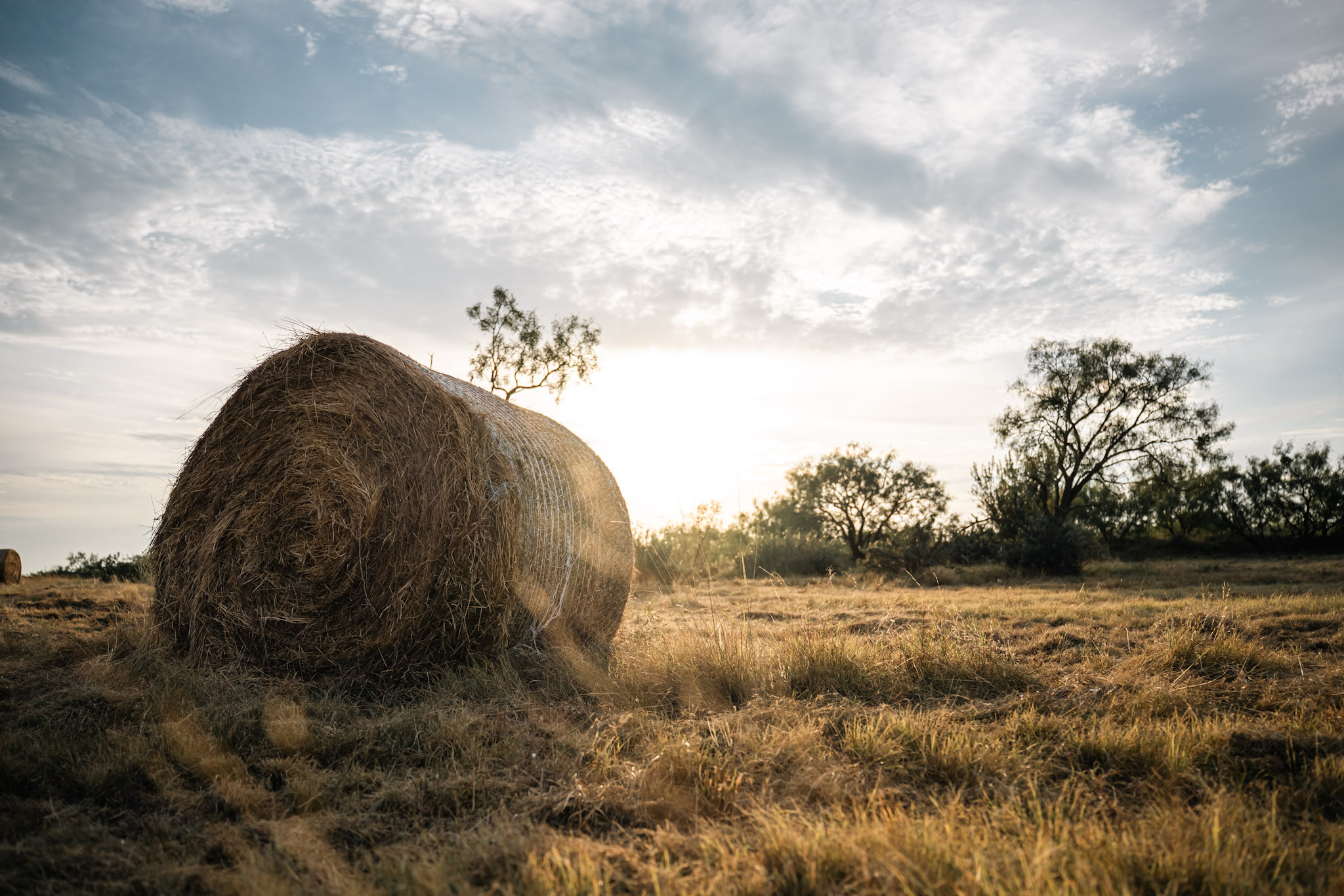 Turning Soil Into Savings: John King BirdDog
