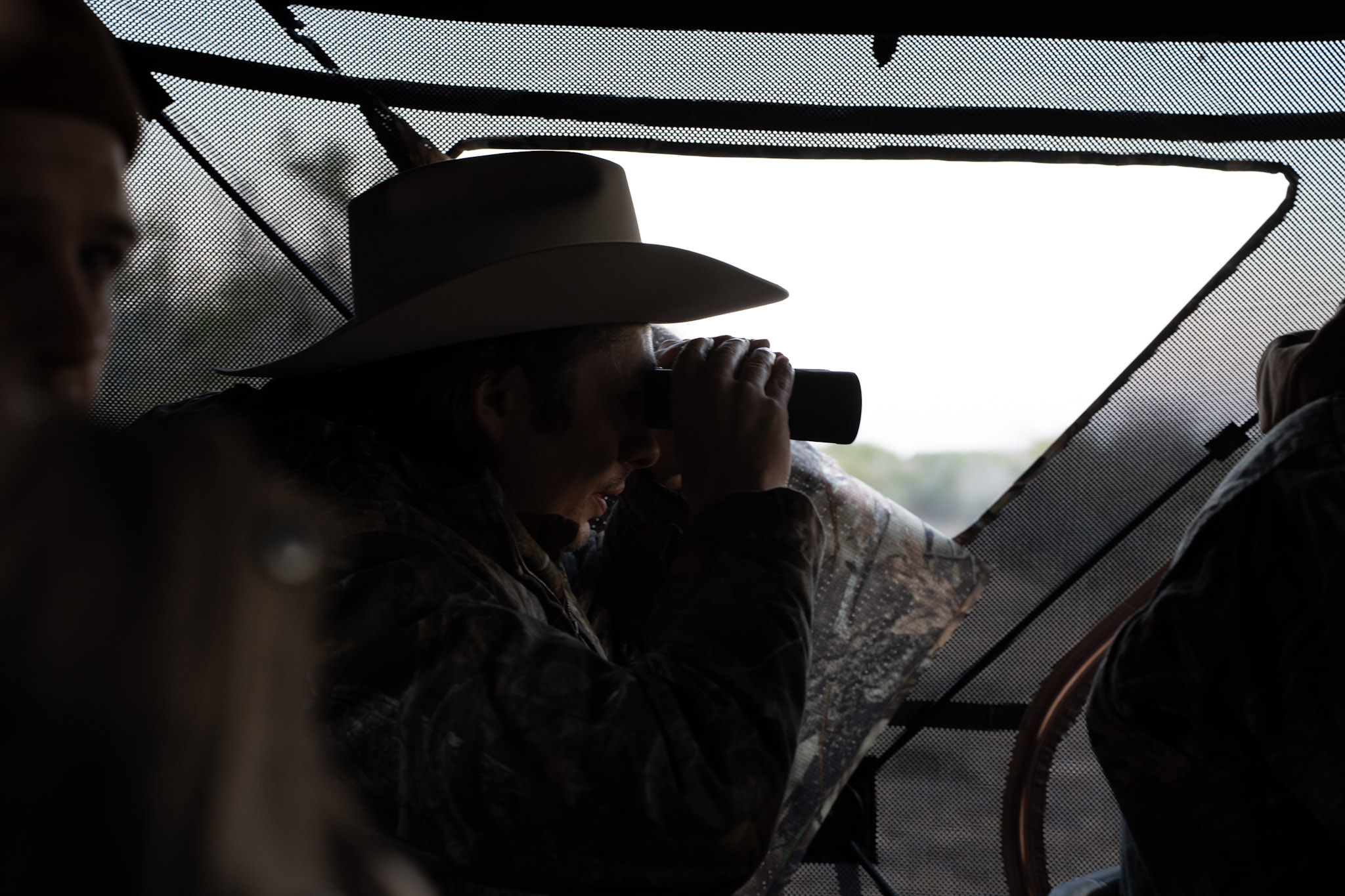 December Hunting in Texas BirdDog