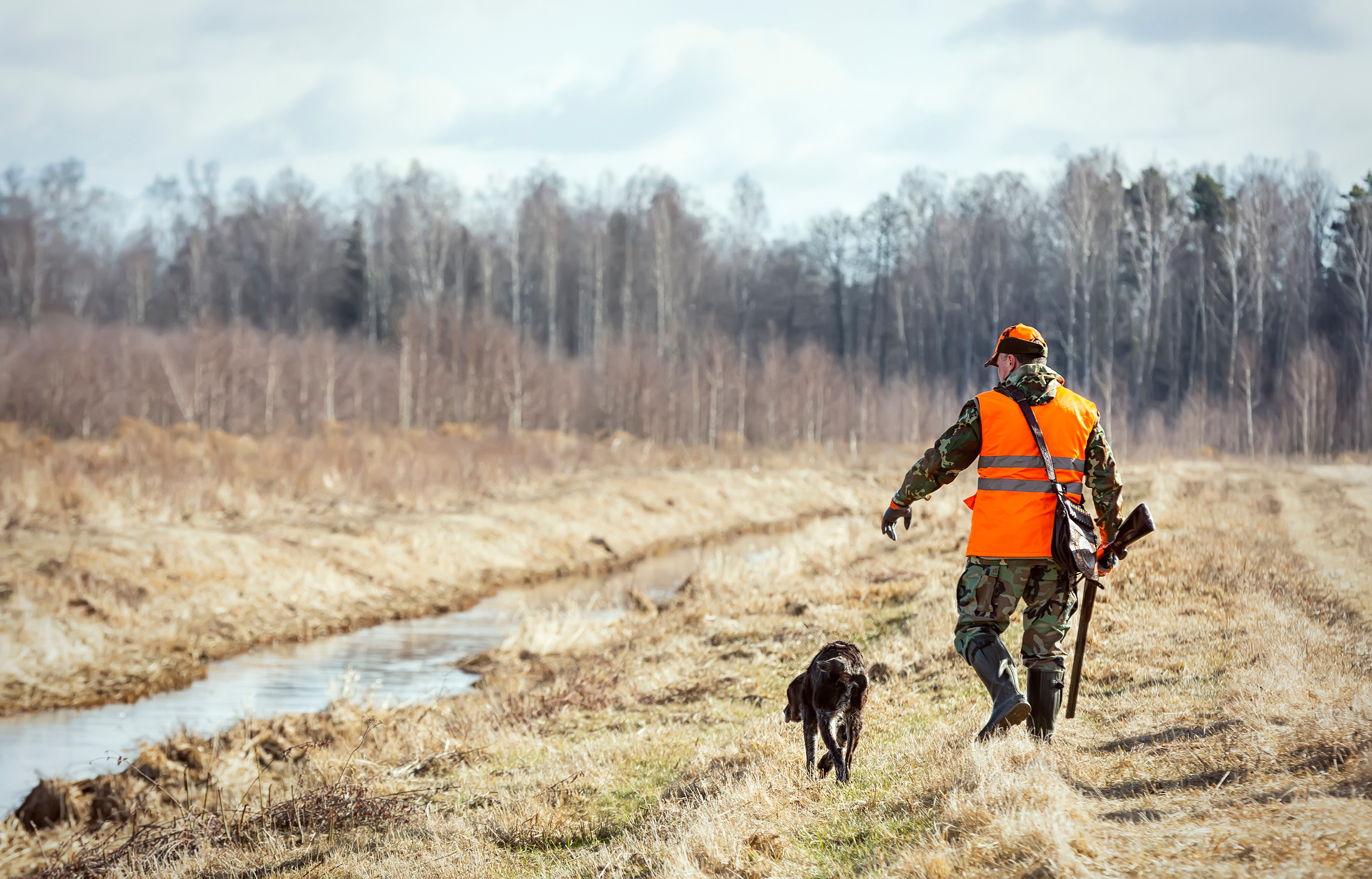 Species to Target During Texas Fall Hunting Season BirdDog