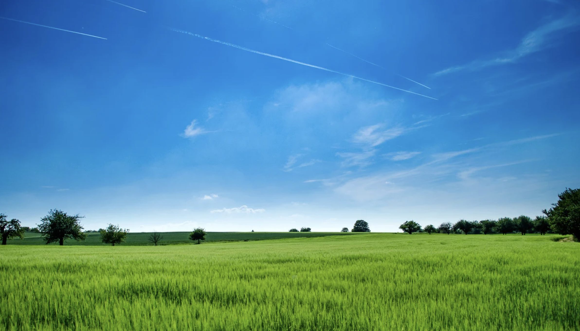 Hunter on private land Beyond Hunting: How to Put Your Land to Work
