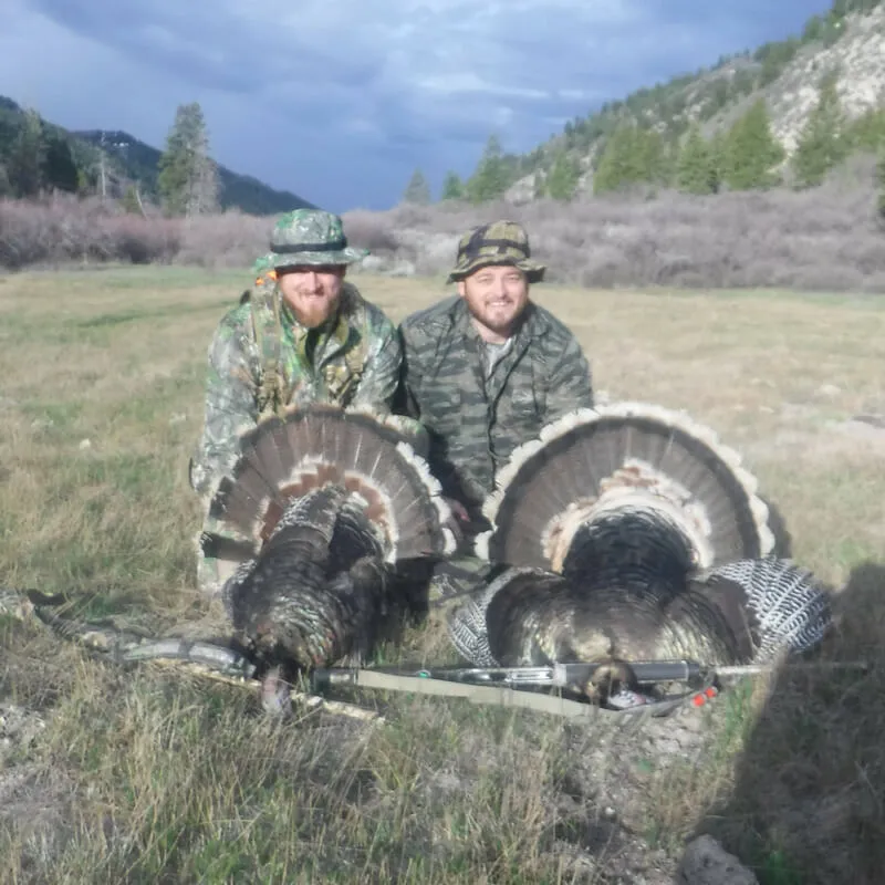 Turkey Hunt - Semi-guided — photo 1