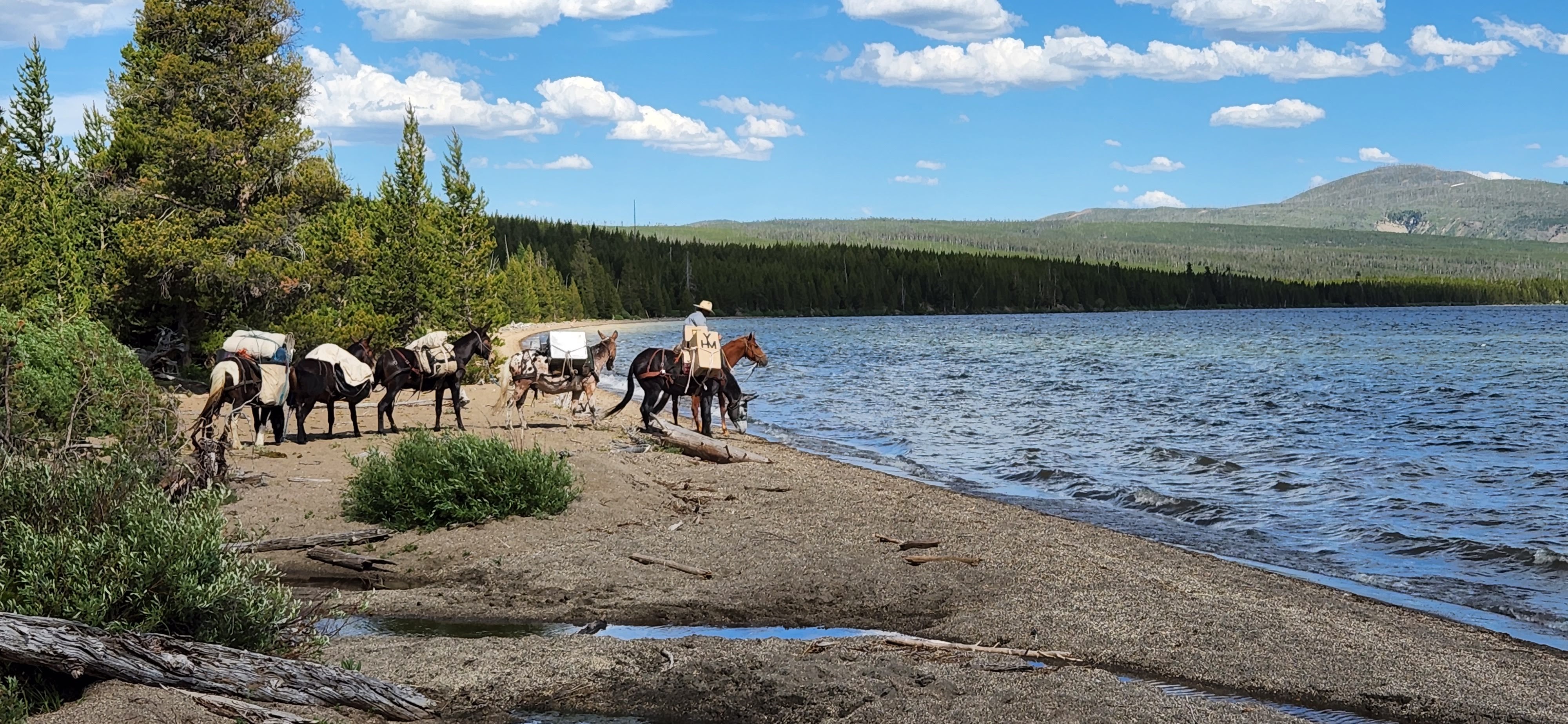 Summer Pack Exploration/Fishing Trip