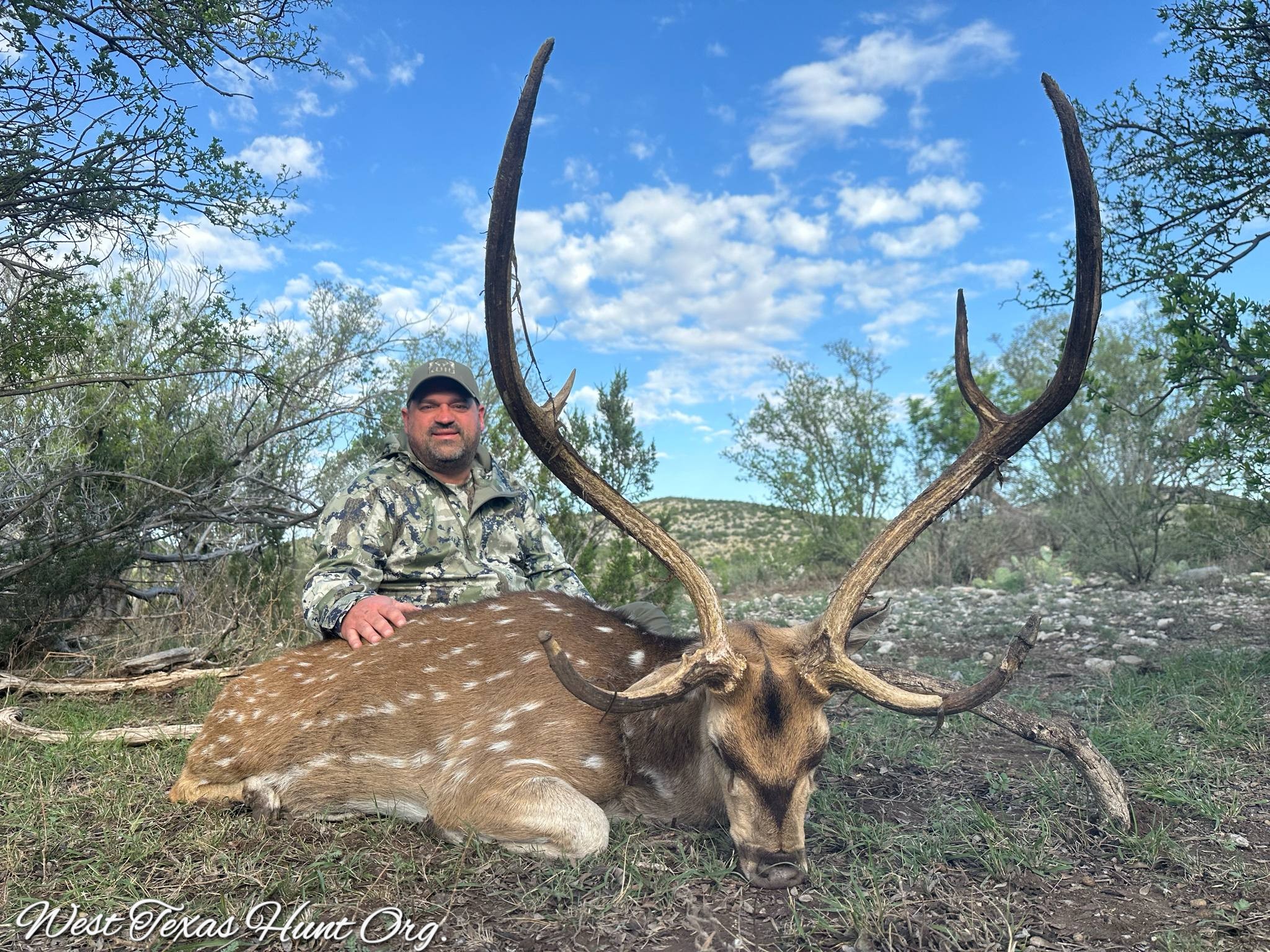 Management Axis Buck Hunt